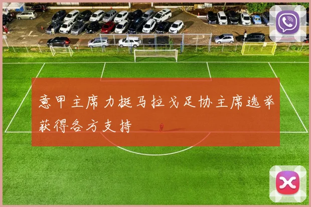 意甲主席力挺马拉戈足协主席选举获得各方支持